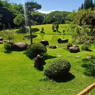 Una obra artística